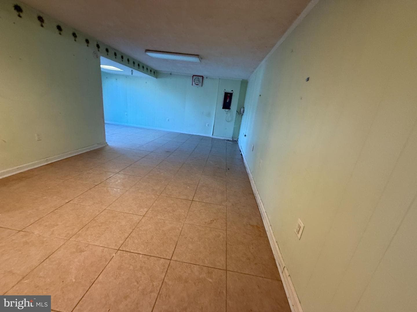 803 Bluffwood Court photo 10