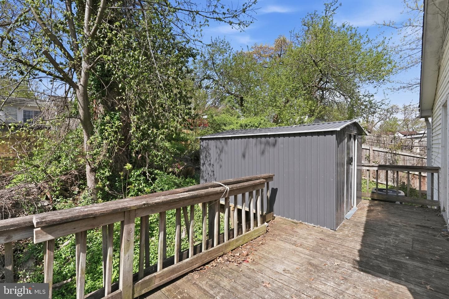 20 Tunic Avenue photo 23