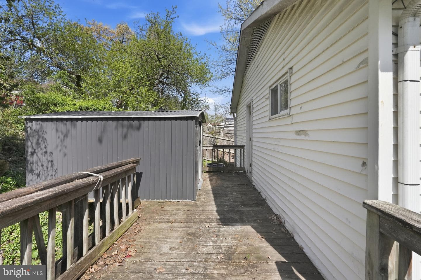 20 Tunic Avenue photo 24