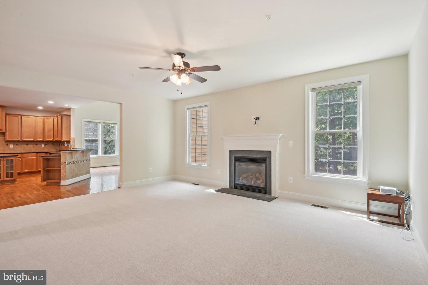 711 Bleak Hill Place photo 14