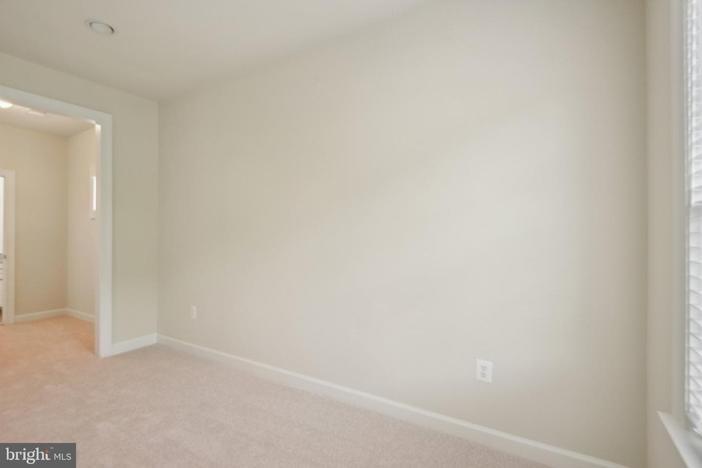 711 Bleak Hill Place photo 53
