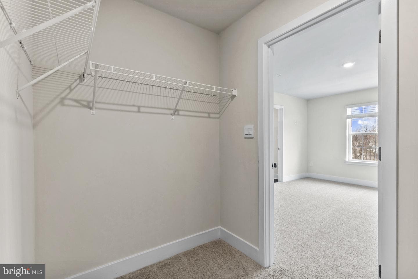 5217 Water Lily Way photo 26