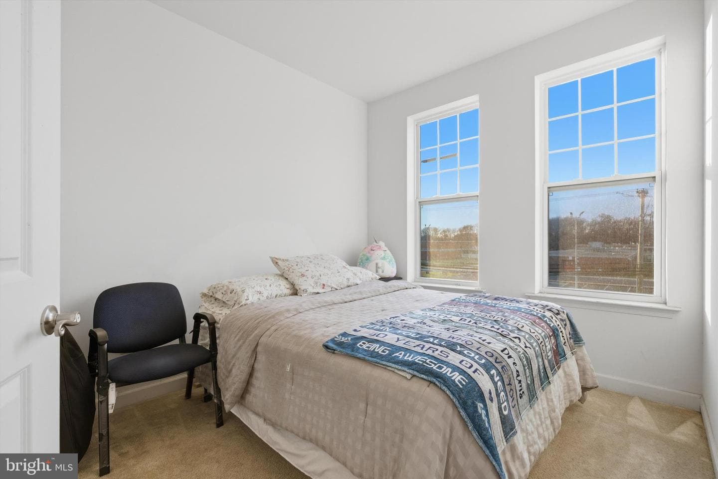 7206 Wood Meadow Way photo 49