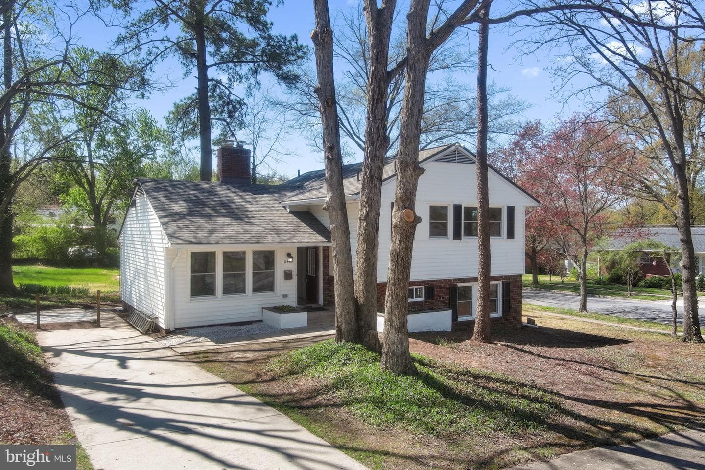 8405 Ravenswood photo 38