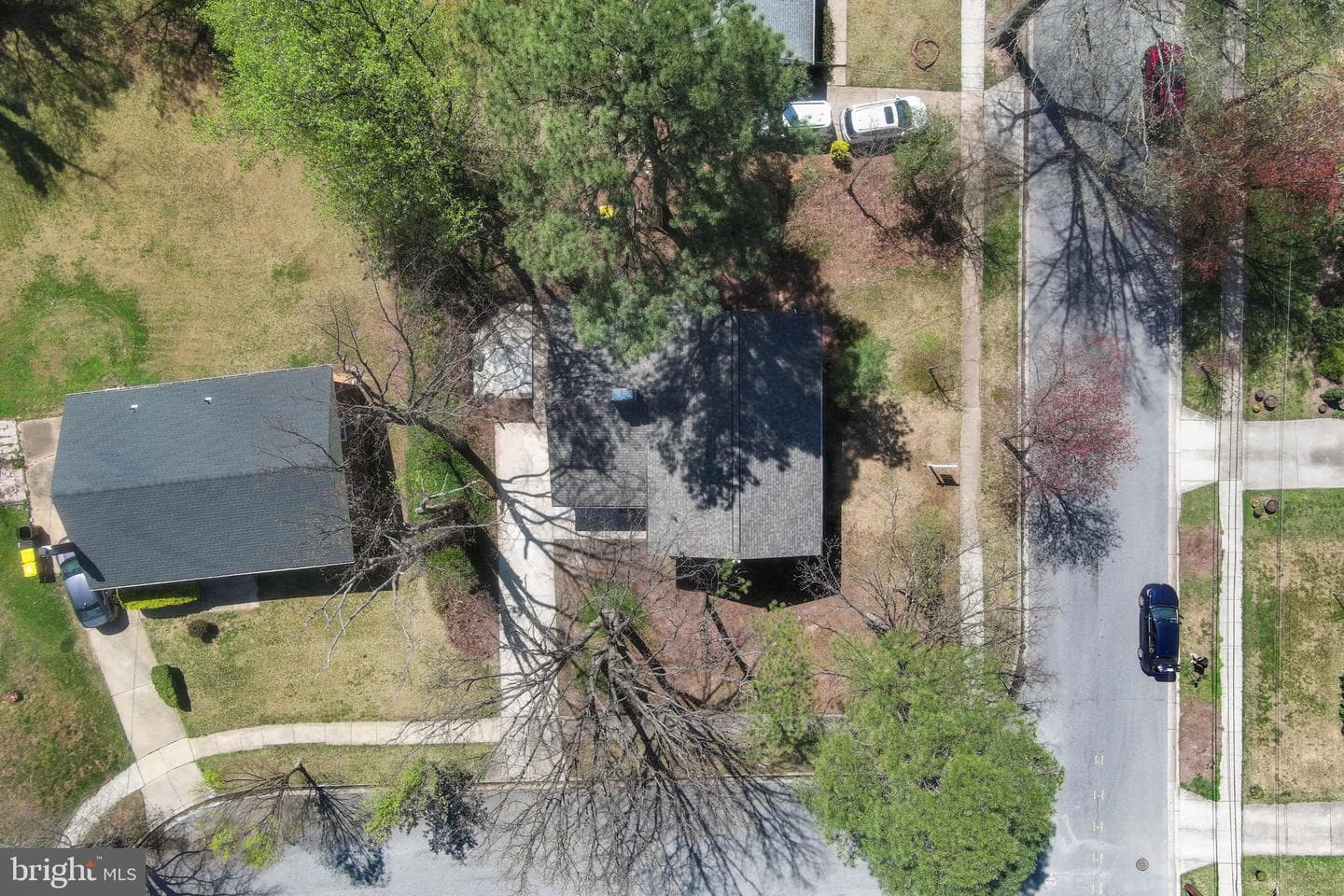 8405 Ravenswood photo 61