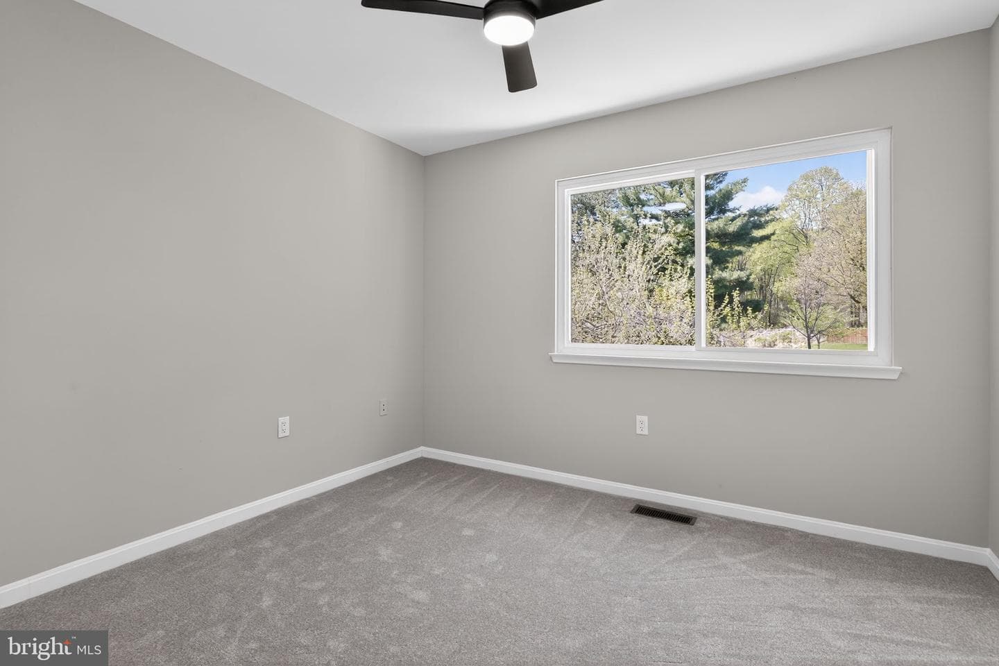 7509 Courtney Place photo 28