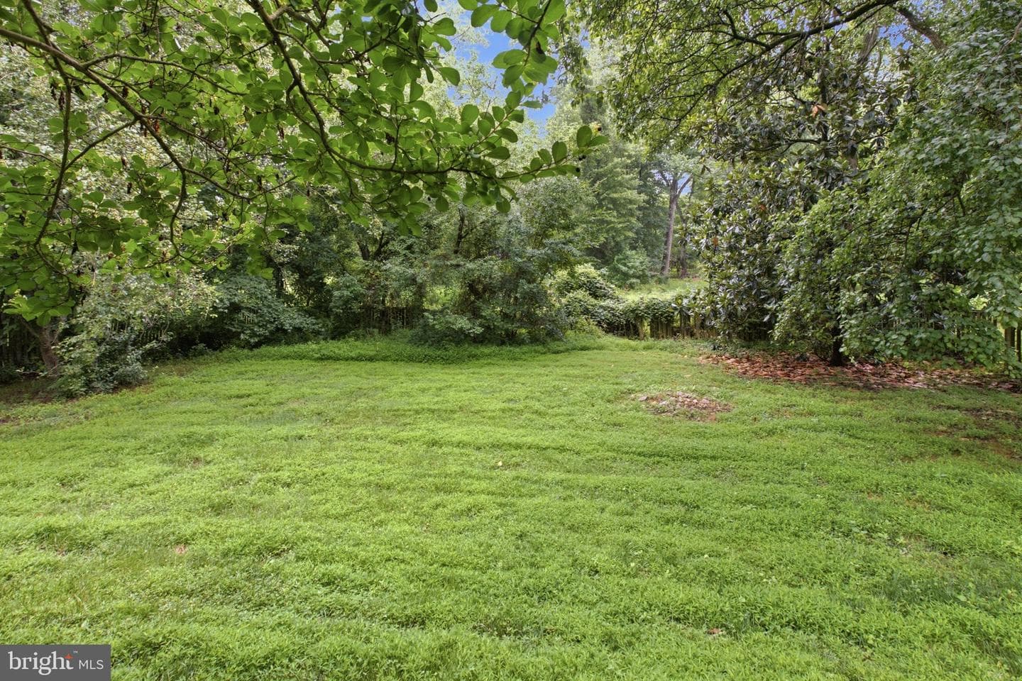 11313 Kencrest Drive photo 59