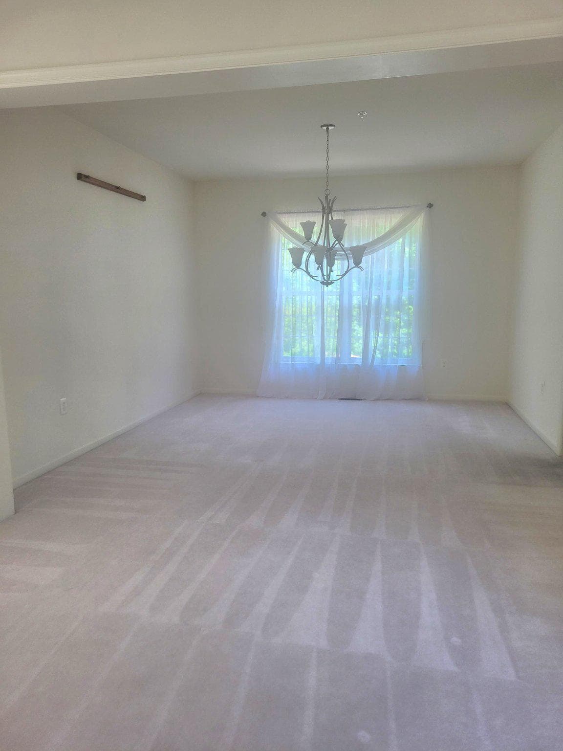 1202 Strausberg Street photo 22