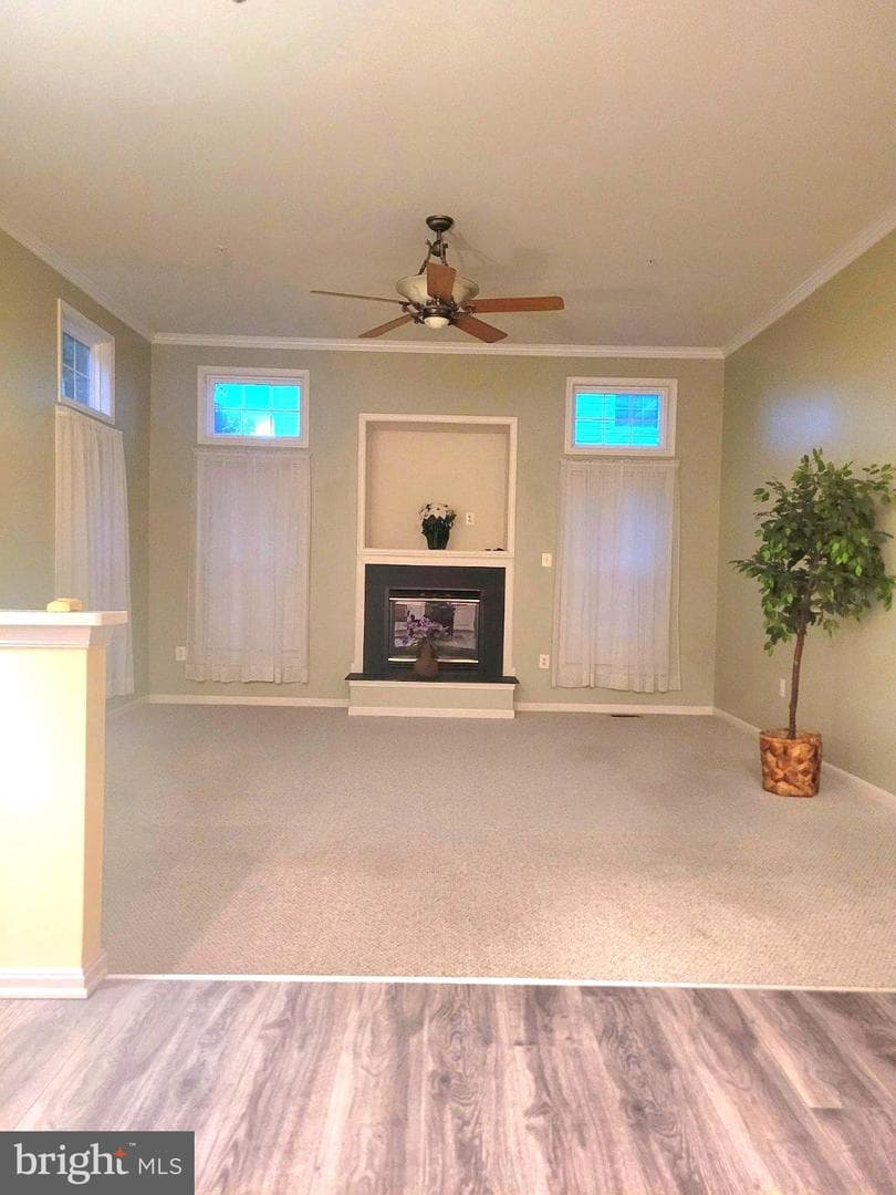 1202 Strausberg Street photo 38