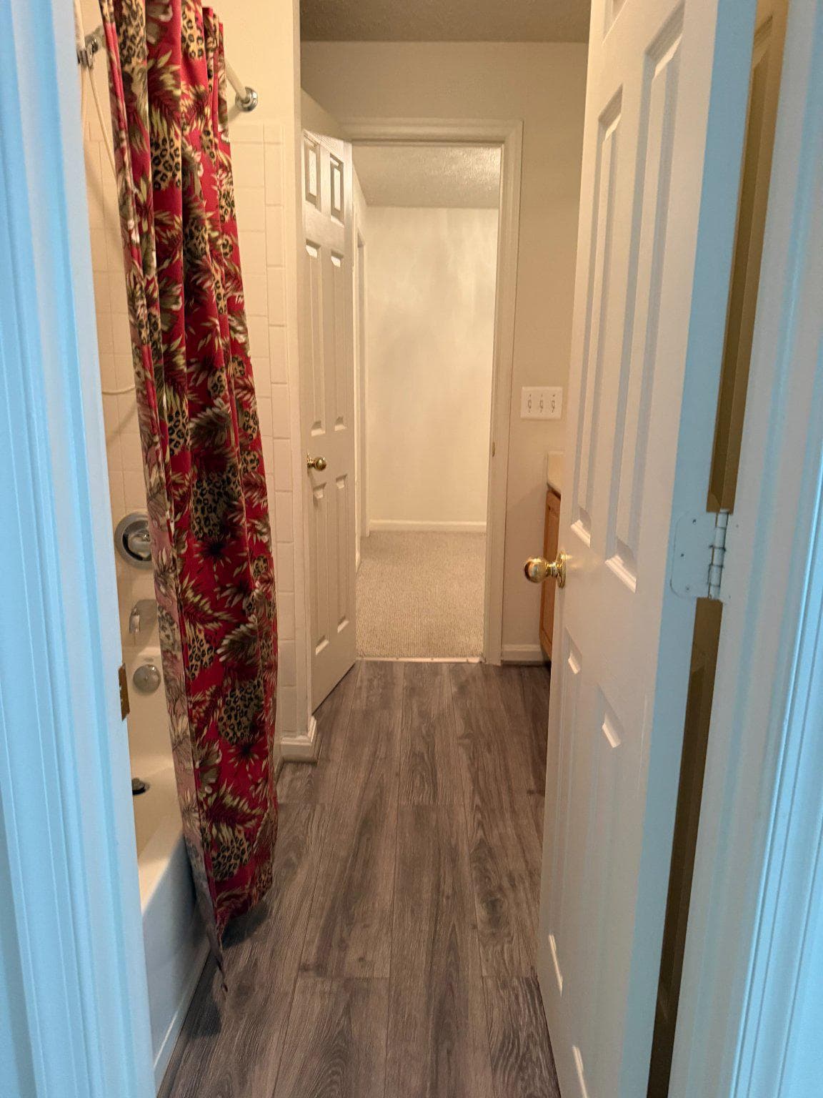 1202 Strausberg Street photo 52
