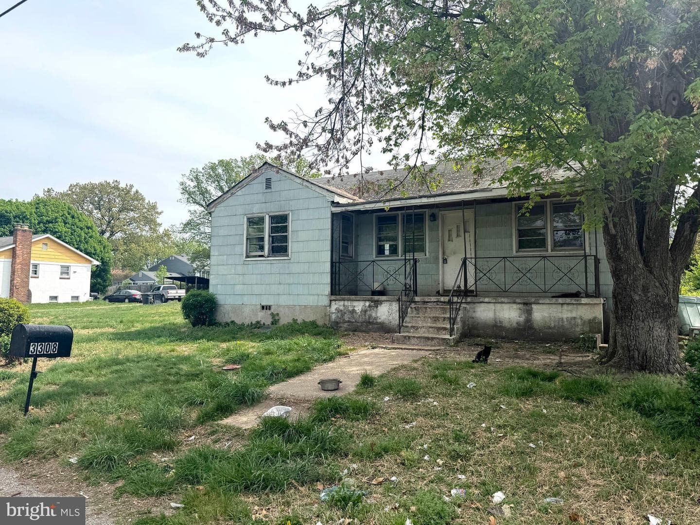 3308 Oak Street photo 10