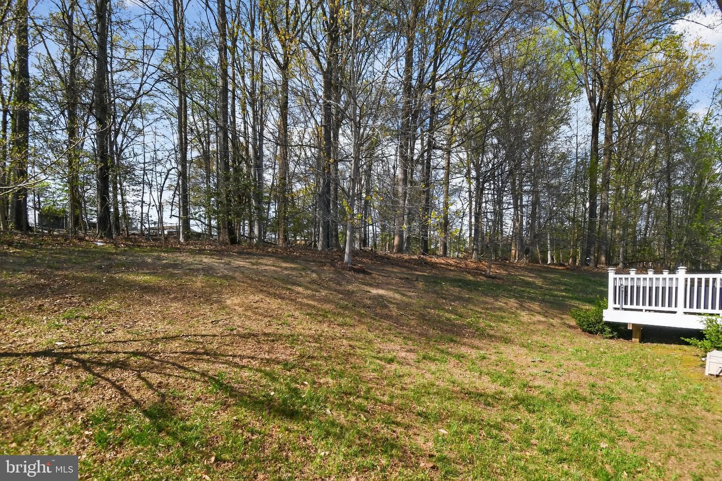 9009 Eldon Drive photo 4