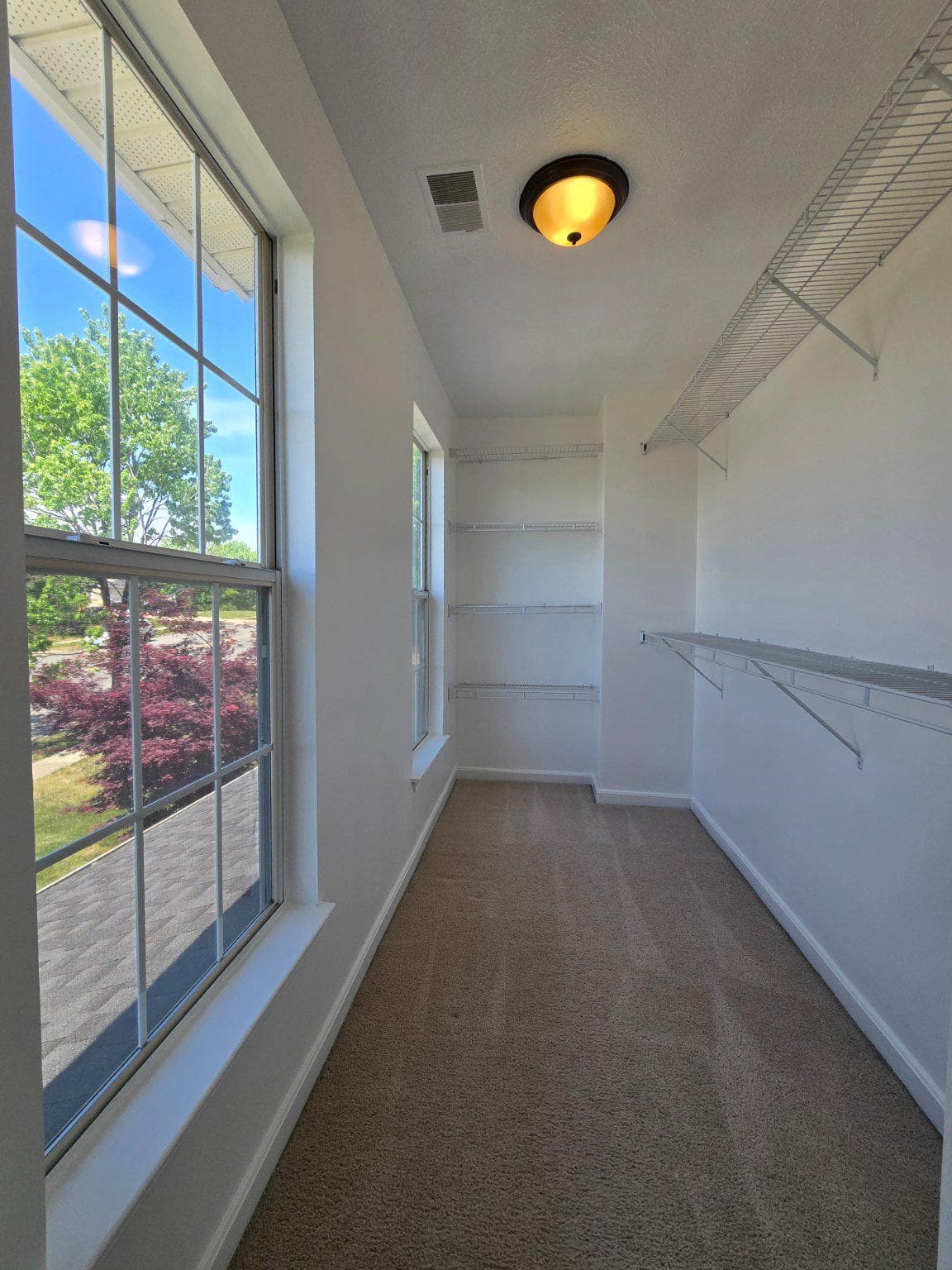 10904 Gunpowder Drive photo 13