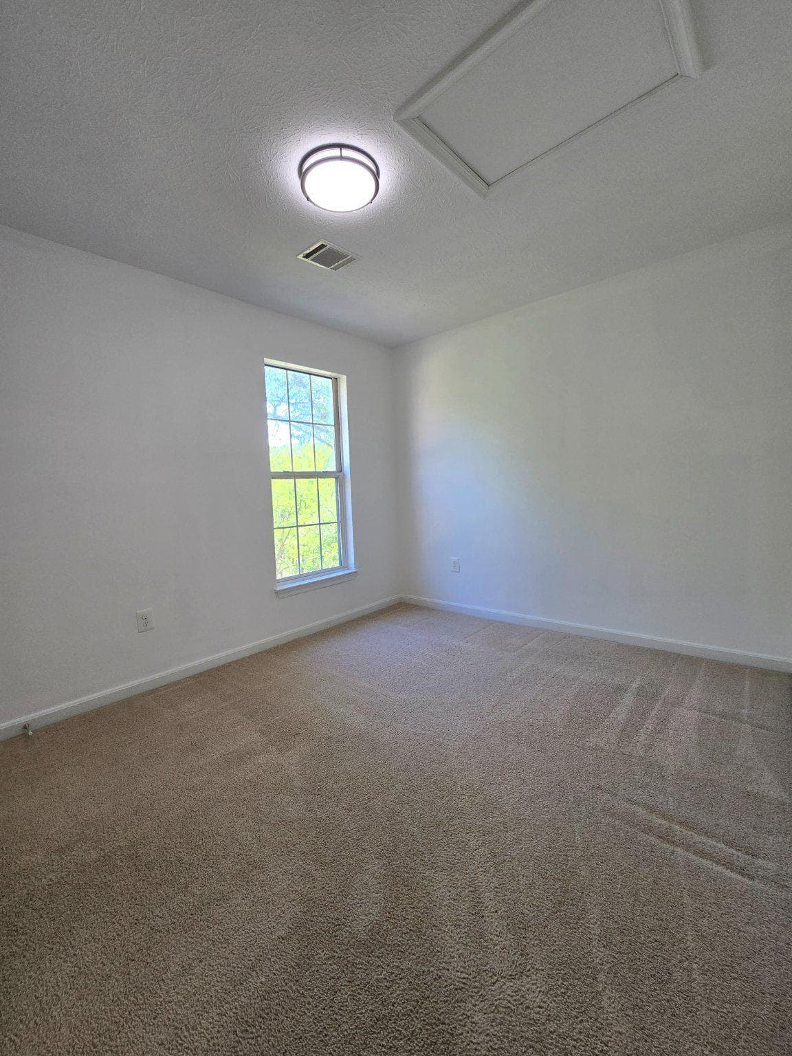 10904 Gunpowder Drive photo 18
