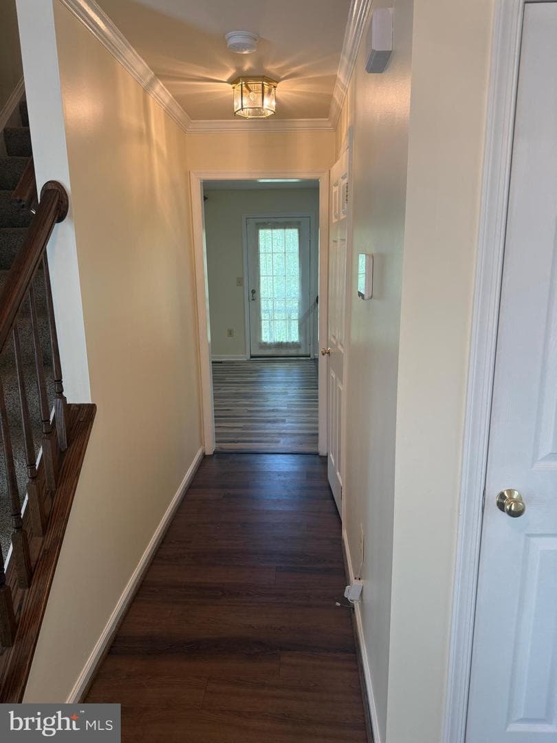 5404 Lakevale Terrace photo 29