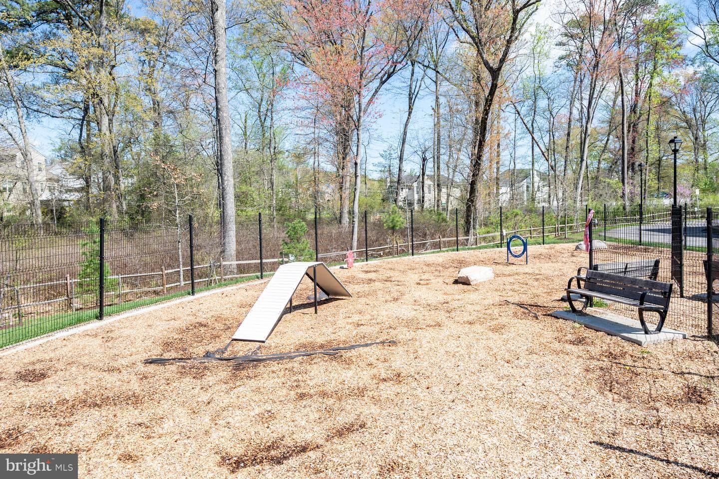10423 John Glenn Street photo 34