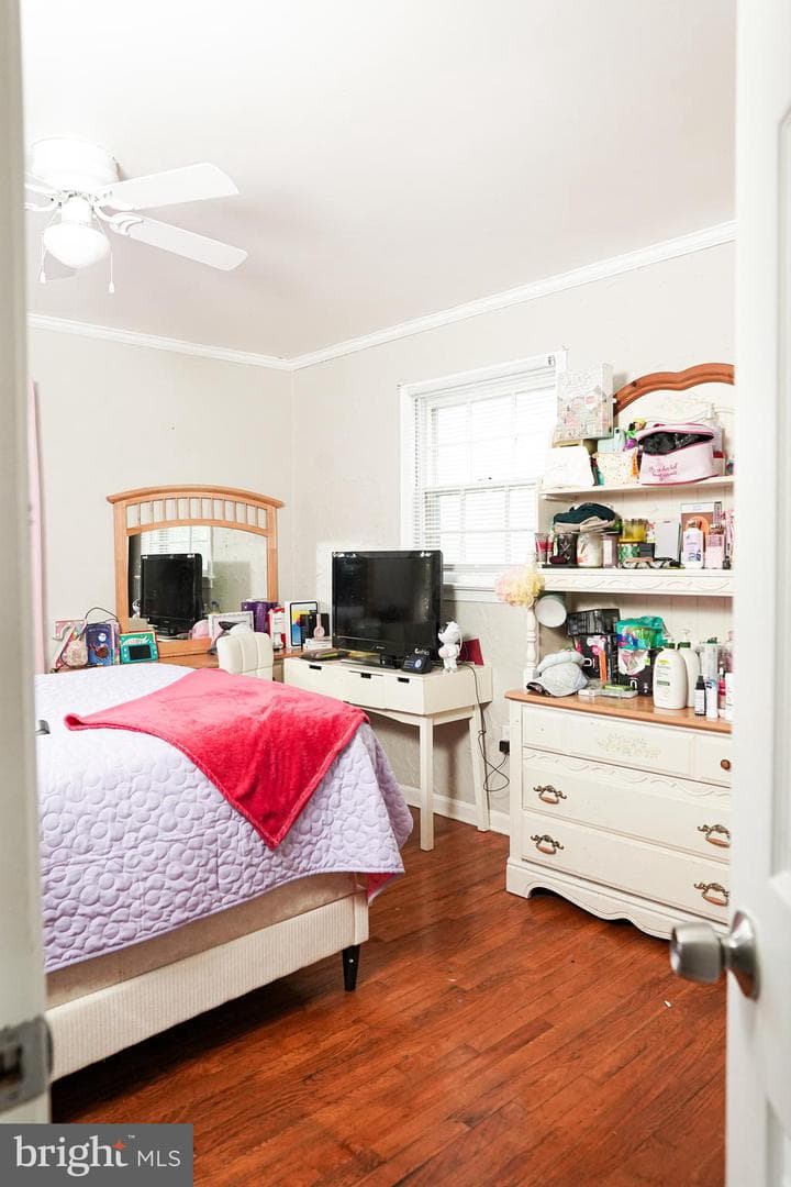 7901 Anne Ct photo 32
