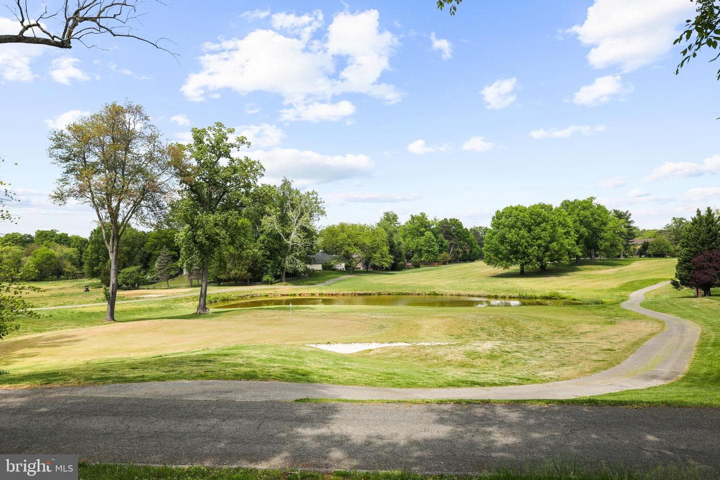 13218 Lenfant Drive photo 47