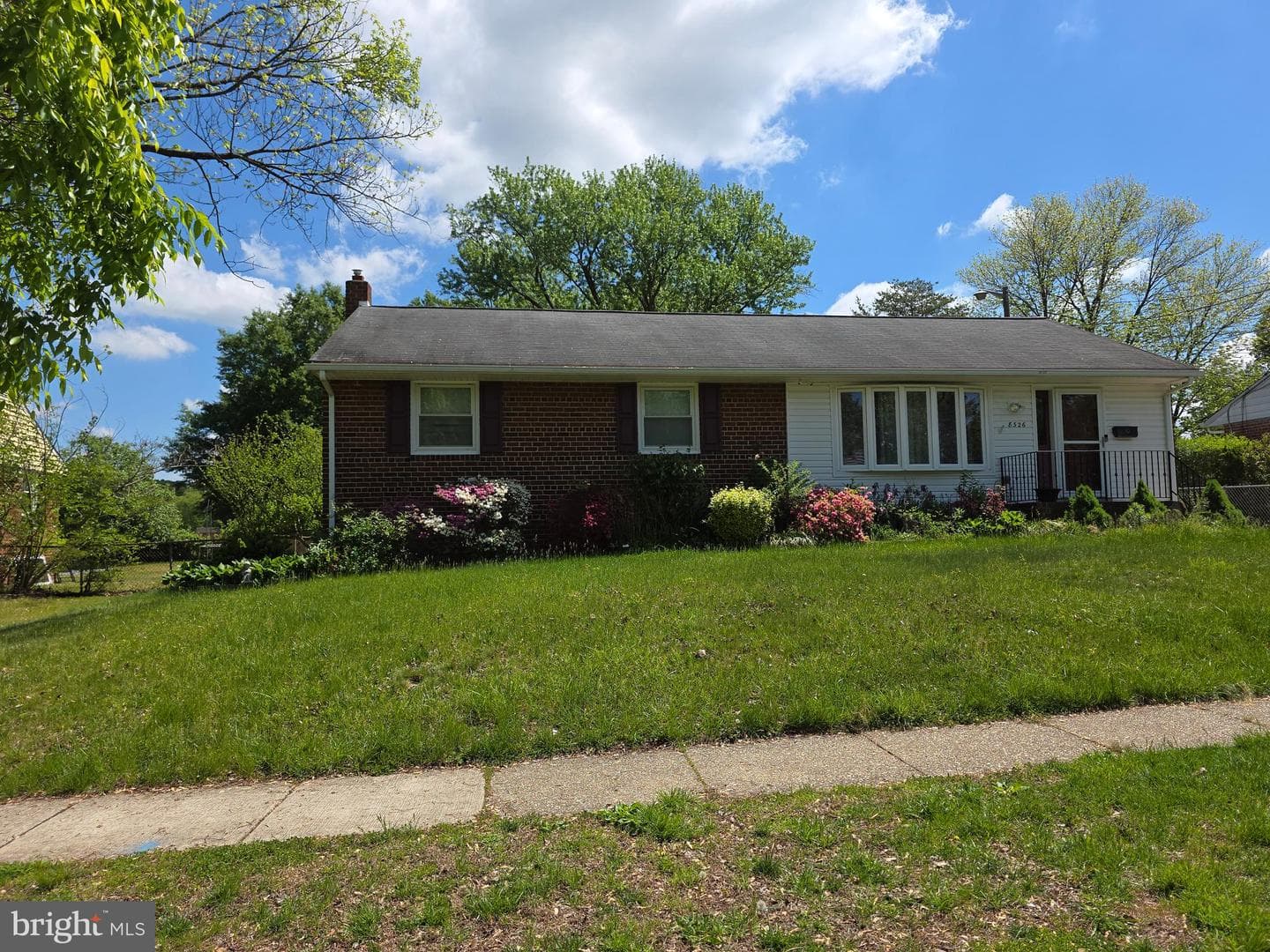 8326 Verona Drive photo 2