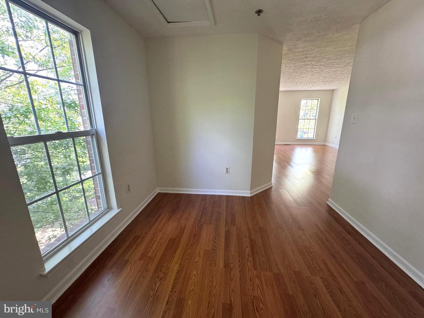 16501 Elmcrest Terrace photo 22