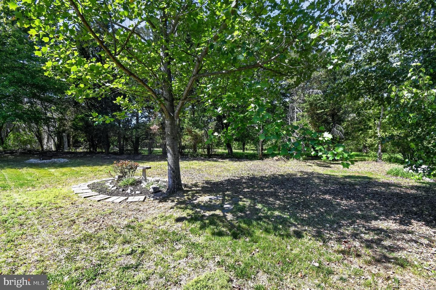 10807 Frank Tippett Road photo 37