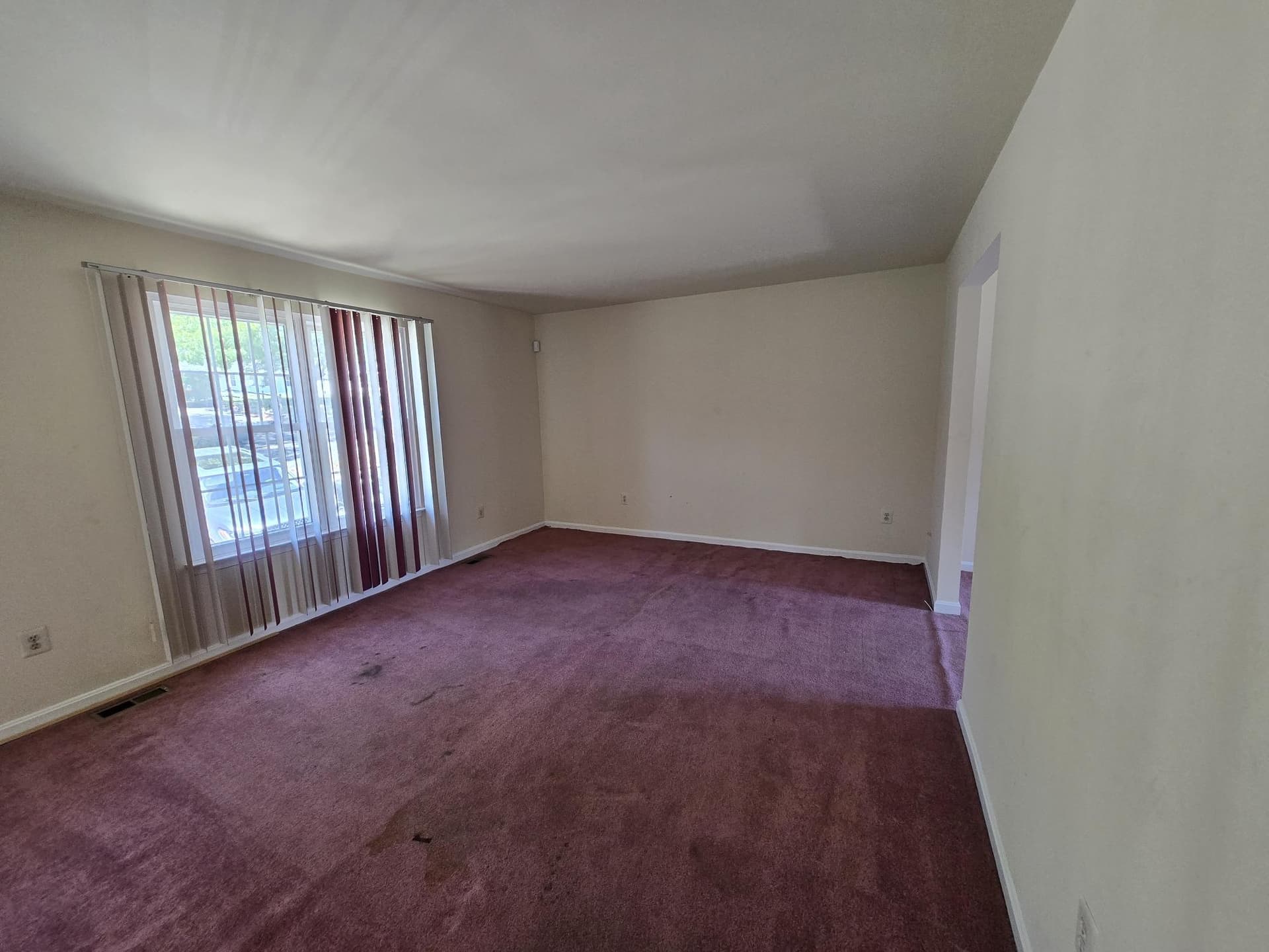 8510 Schultz Road photo 4