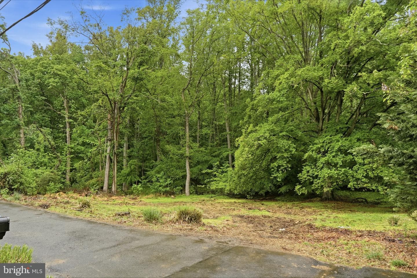 8402 Sleepy Hollow Road photo 24