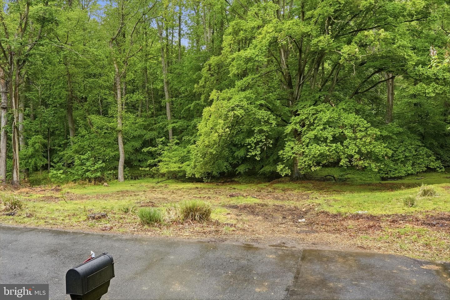 8402 Sleepy Hollow Road photo 25