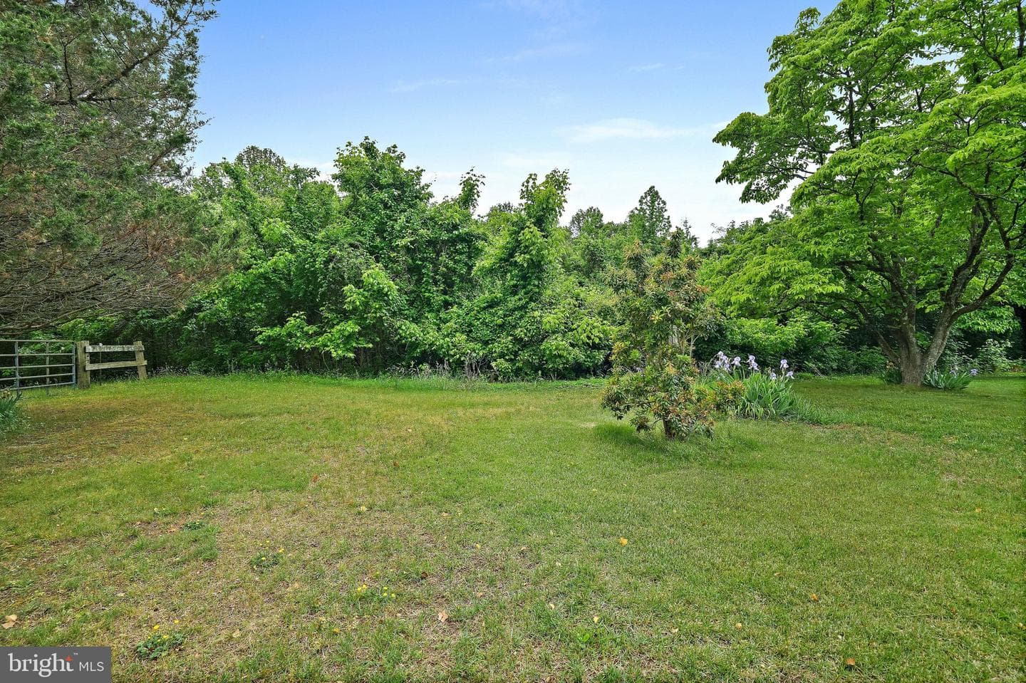 6201 Croom Station Road photo 44
