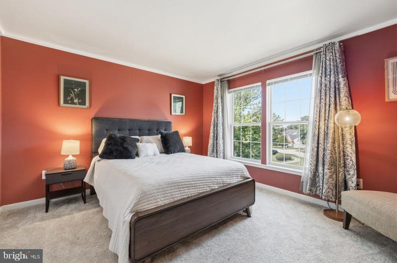 1701 Felwood Street photo 25