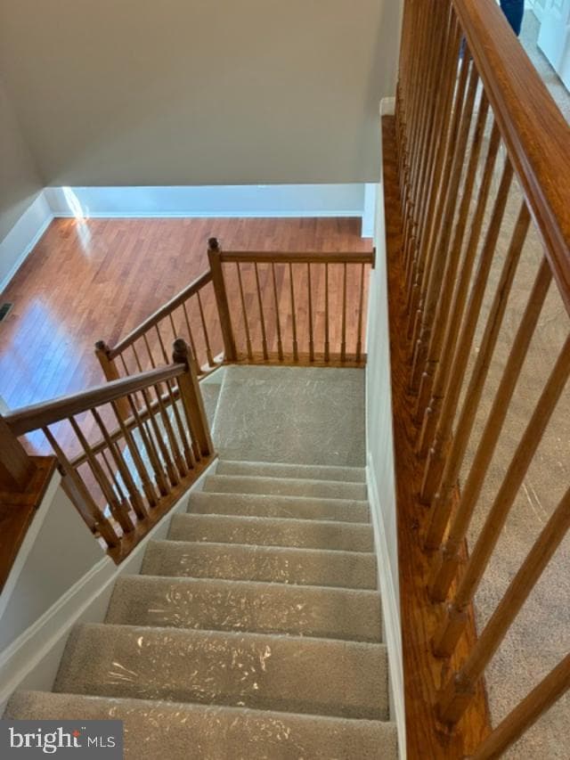 8403 Branchwood Circle photo 27