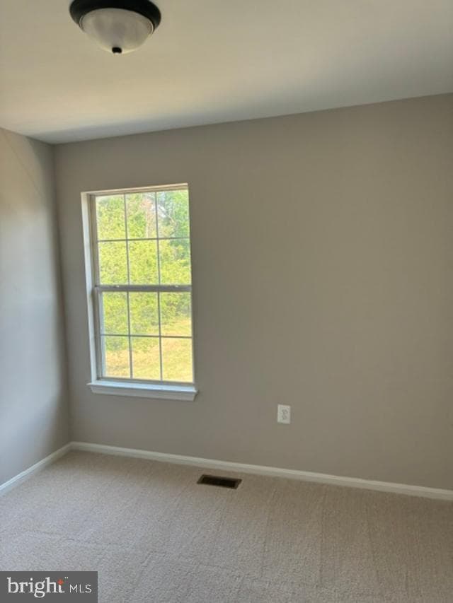8403 Branchwood Circle photo 42
