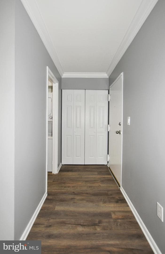 6928 Hanover Parkway #303 photo 5