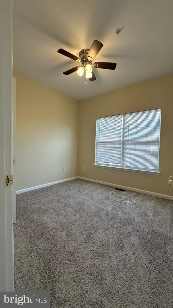 522 Tailgate Terrace photo 16