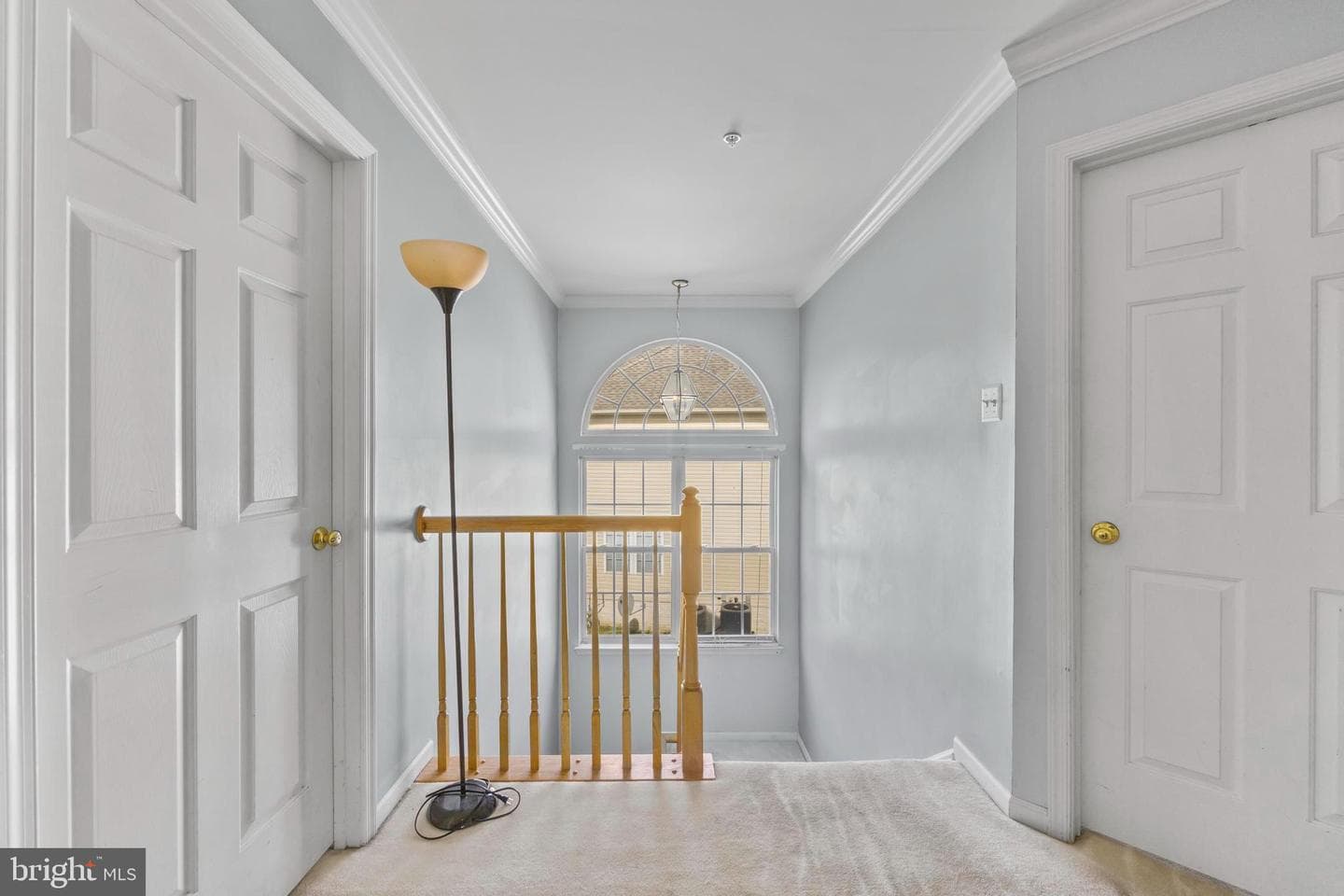 10303 Brightfield Lane photo 18