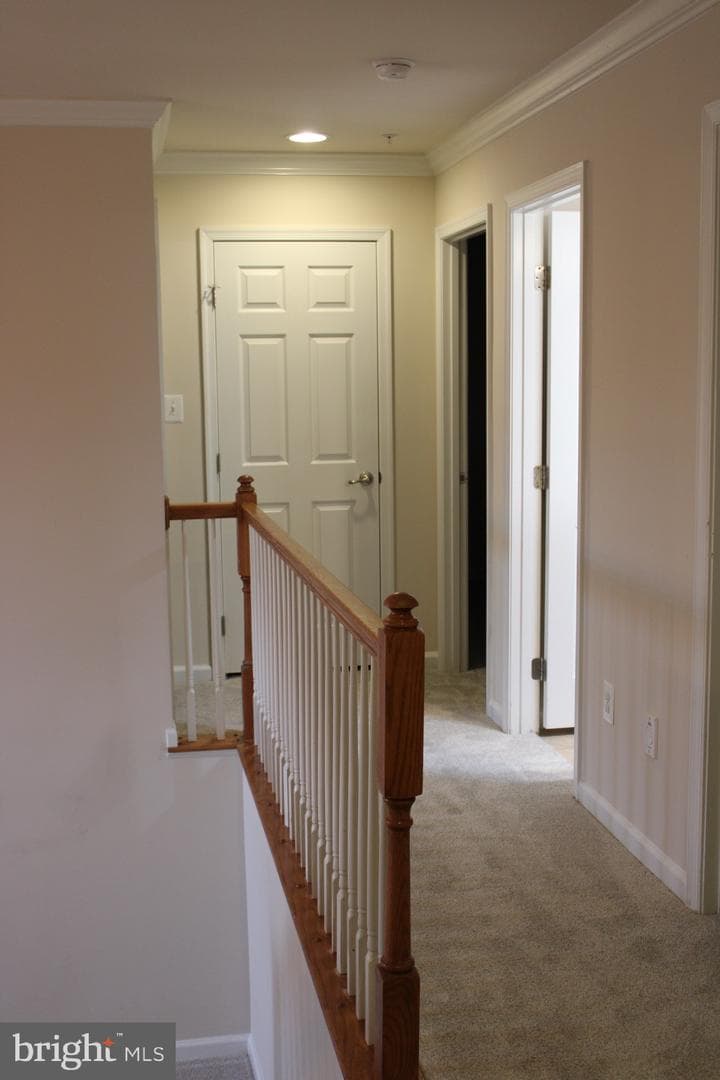 4615 Mary Beth Boulevard photo 43