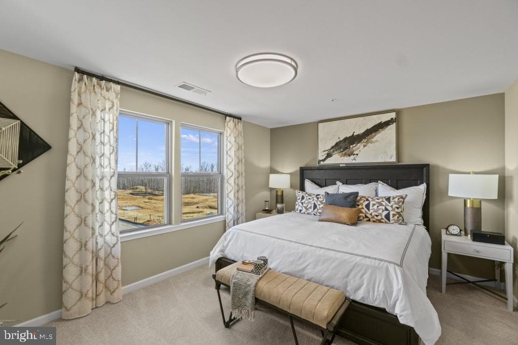 10959 Wheat Berry Drive photo 23