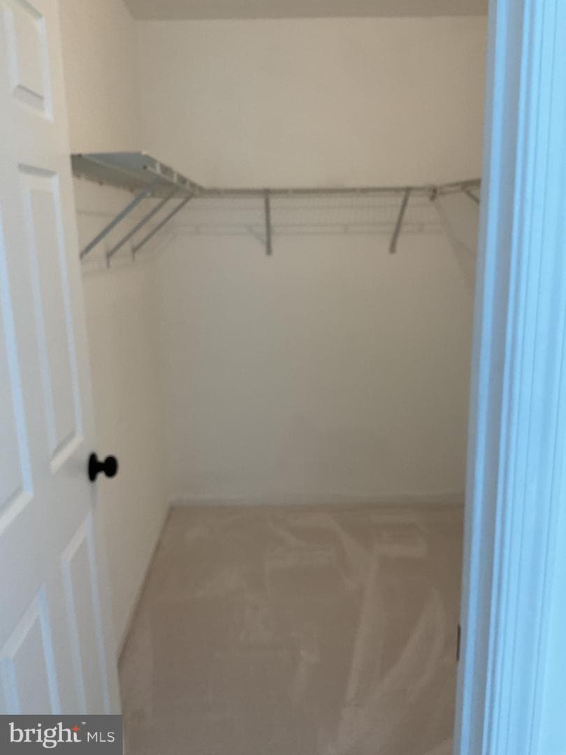 1701 Chinaberry Court photo 21