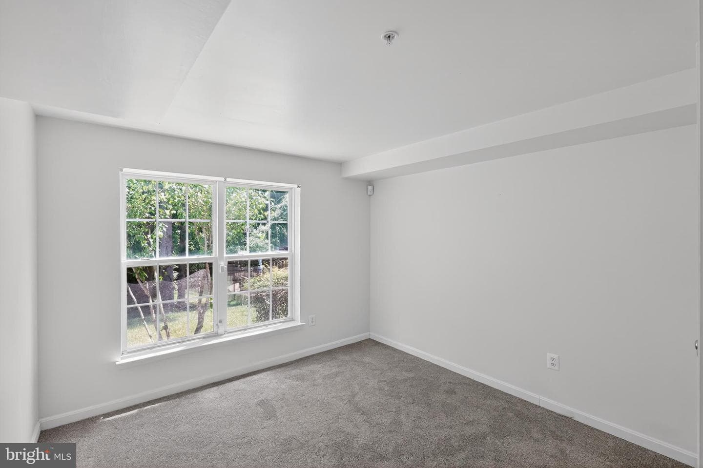 9200 Fox Park Road photo 18