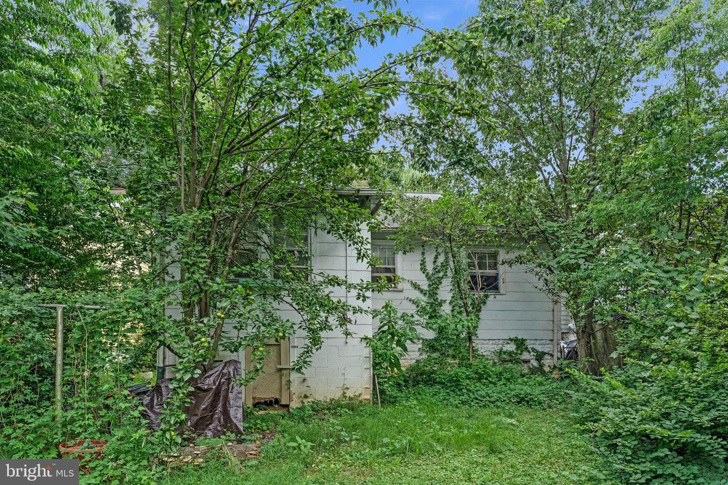 3710 Shepherd Street photo 3