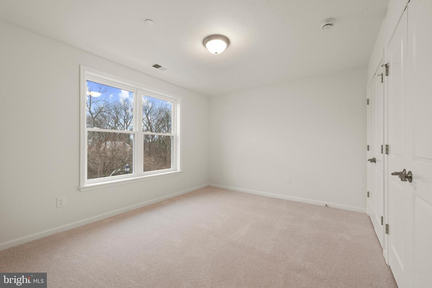 Elm Avenue photo 36