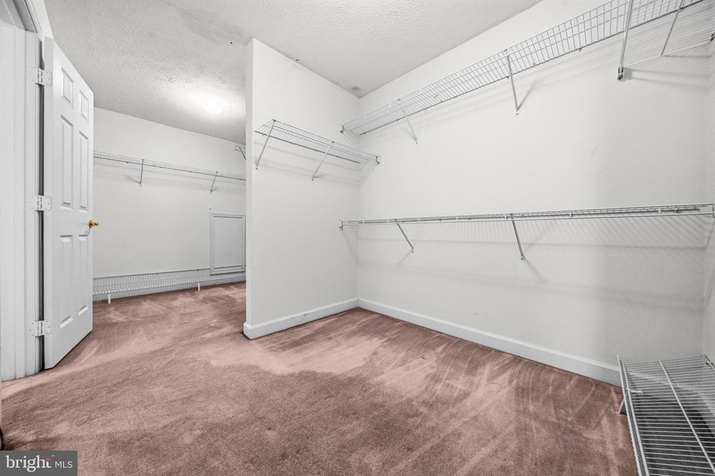 2906 Argentina Place photo 27
