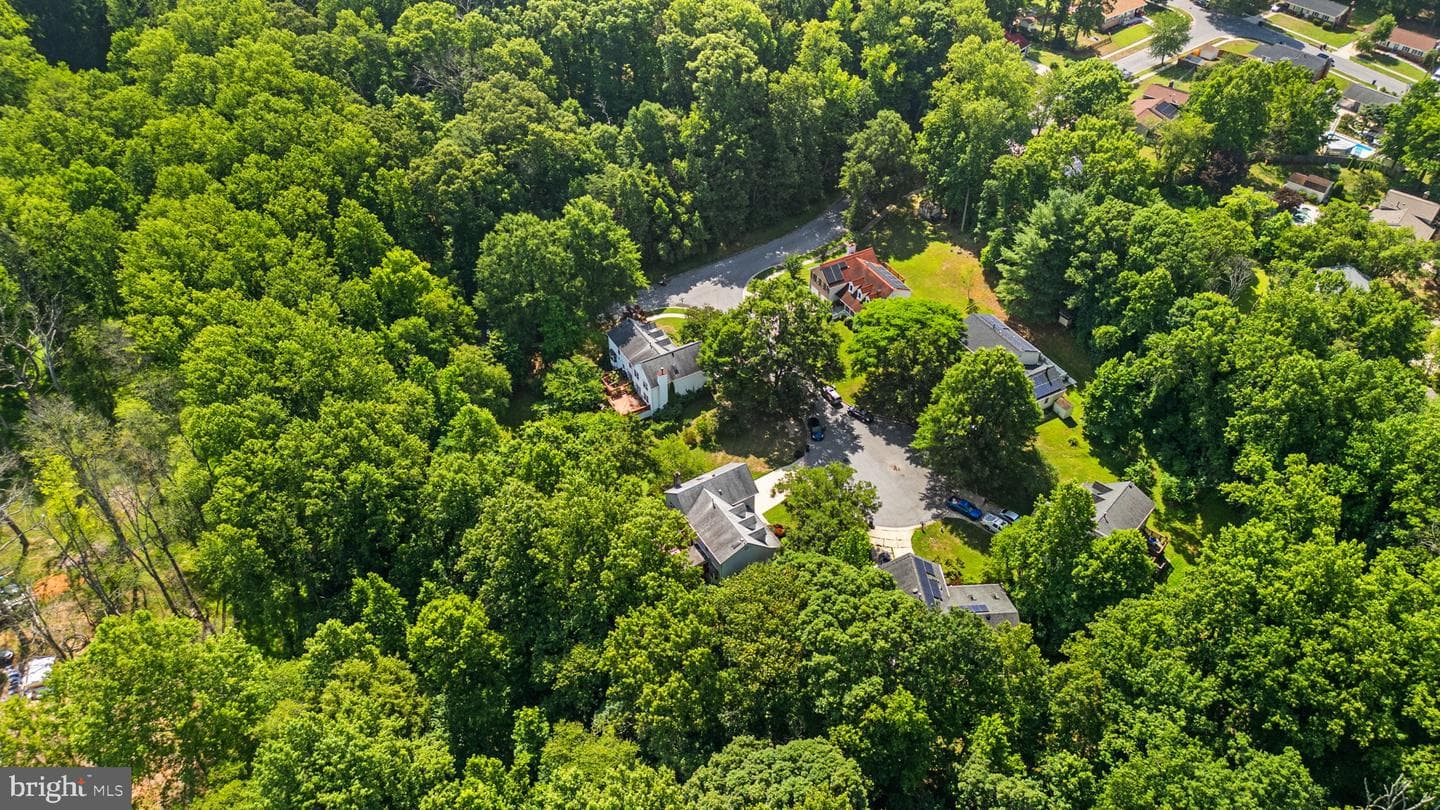 13002 Pine Court photo 47