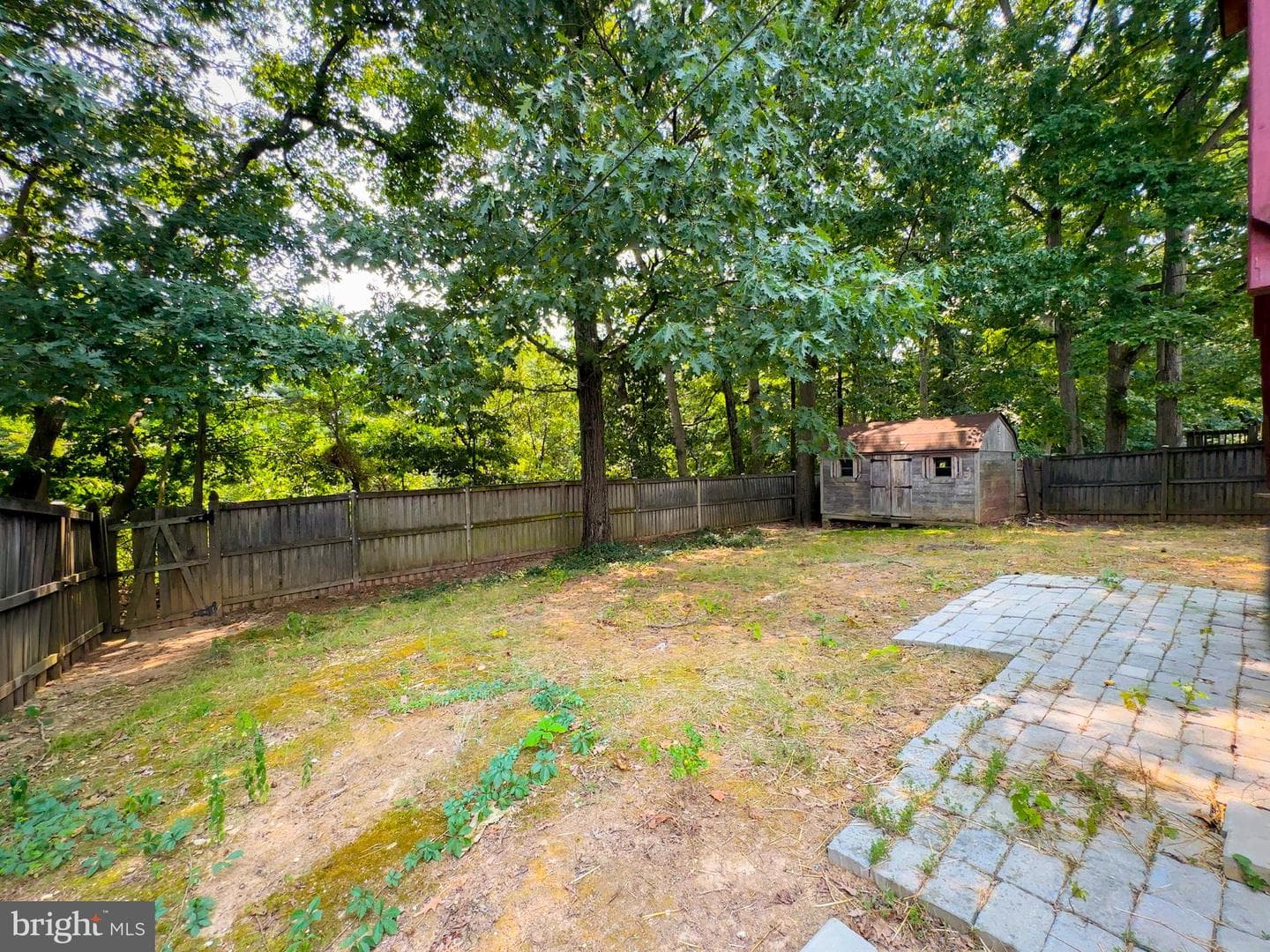 3806 Cricket Avenue photo 39