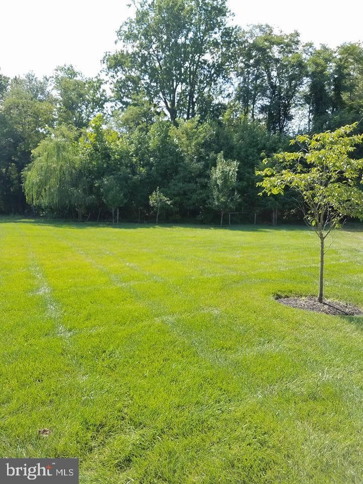 14108 Jones Bridge Road photo 37