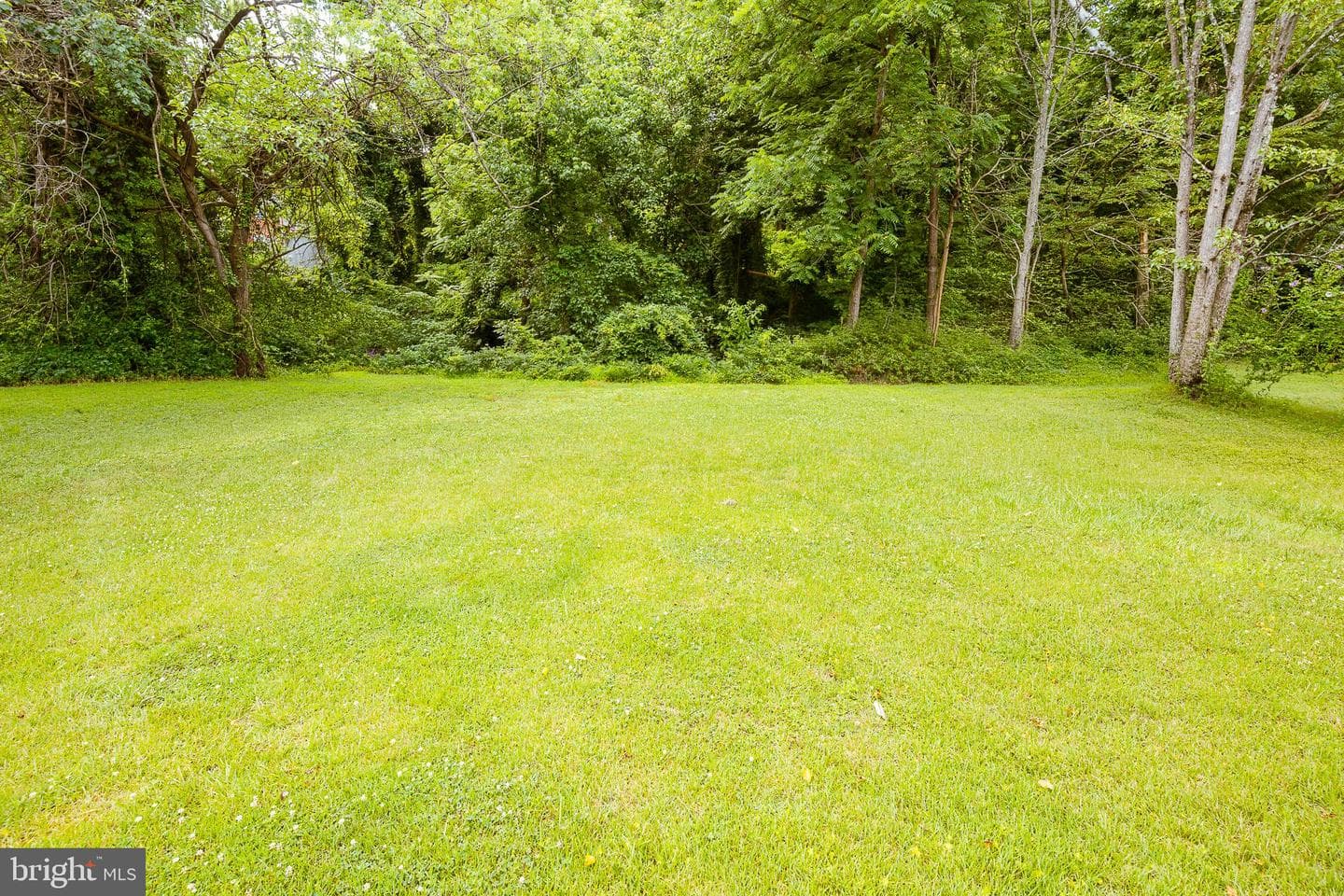 4413 Lakeview Drive photo 10