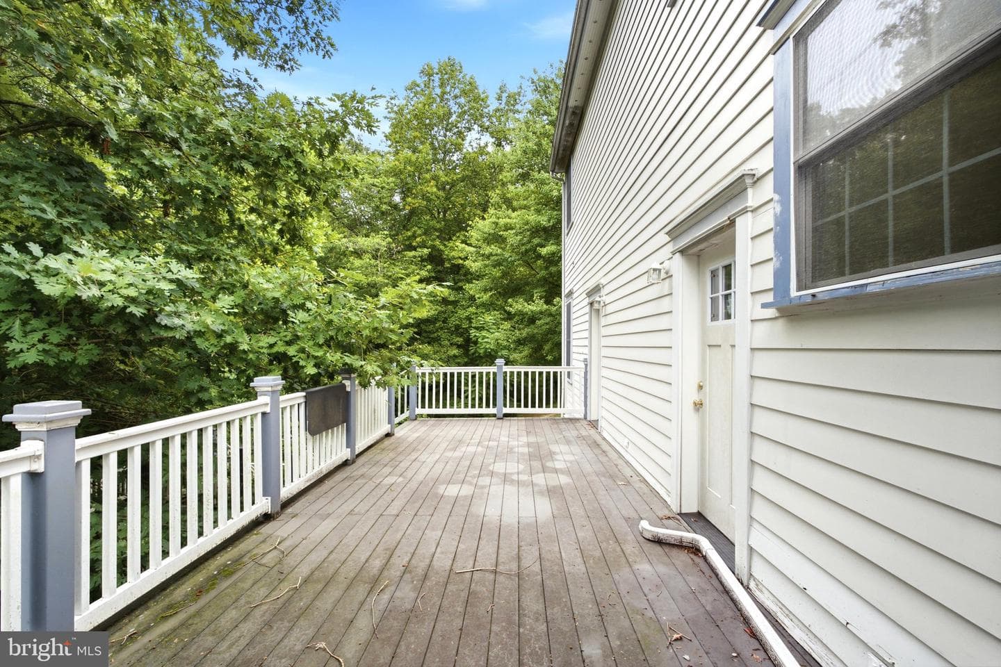 23410 Neck Road photo 26
