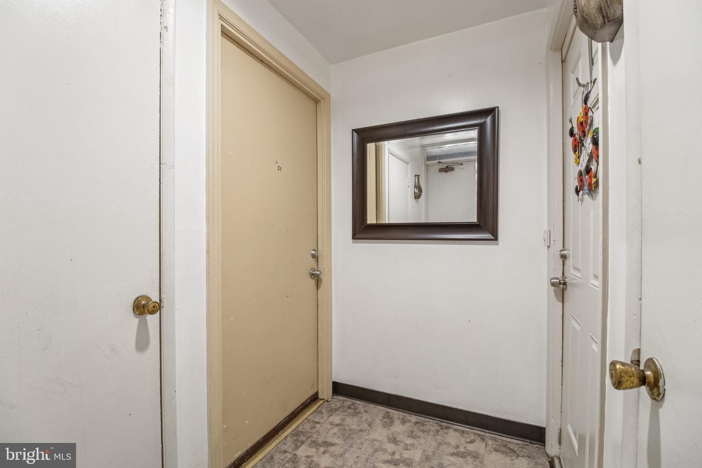 526 Wilson Bridge Drive #6727 C-1 photo 20