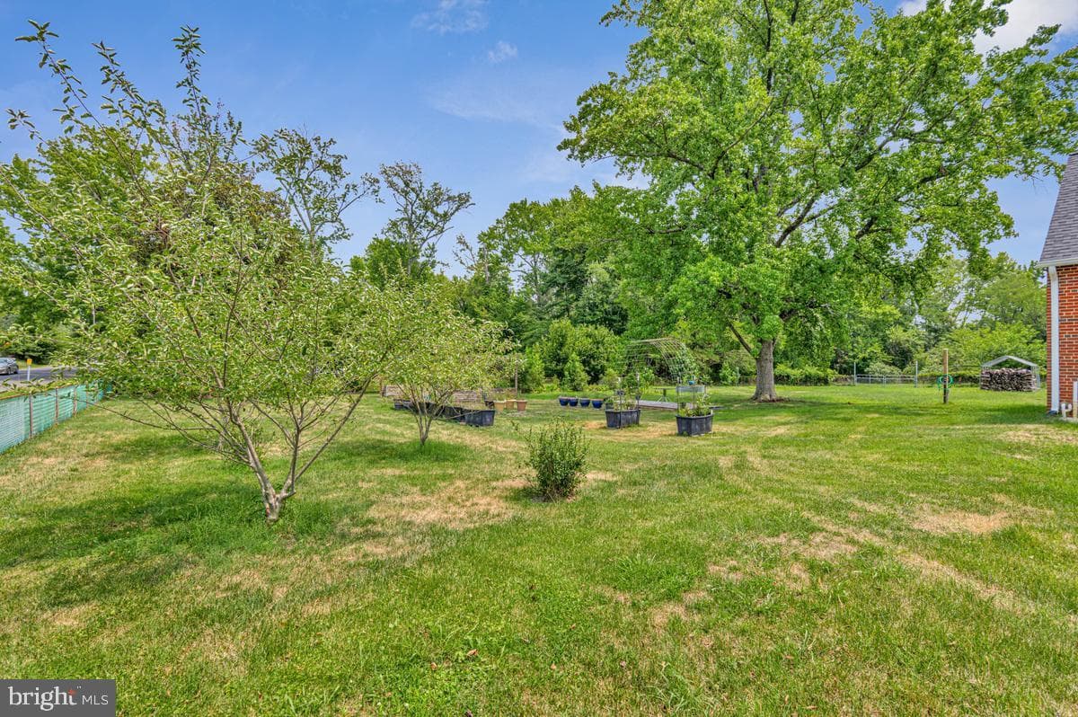 6614 Horseshoe Road photo 30
