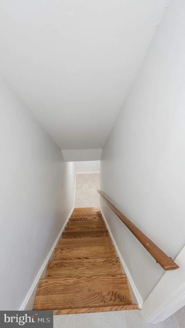 7017 Cipriano Woods Court photo 13